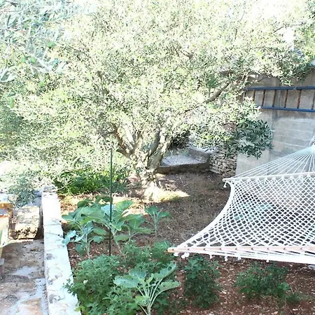 House Biondina * Vela Luka