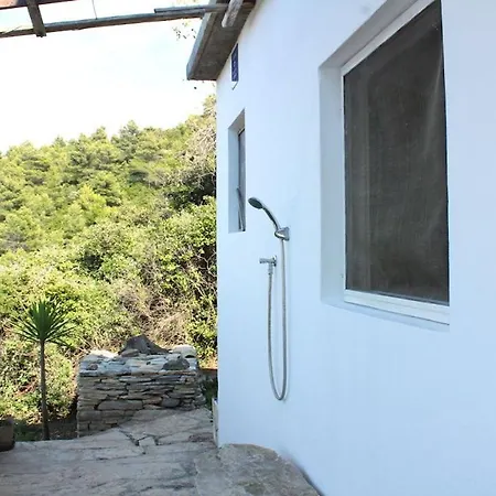 House Biondina